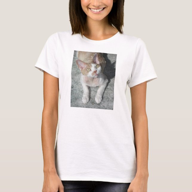 Devon Rex süß T-Shirt (Vorderseite)
