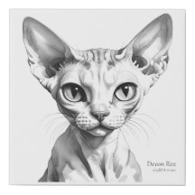Devon Rex - Wasserfarben Kunst