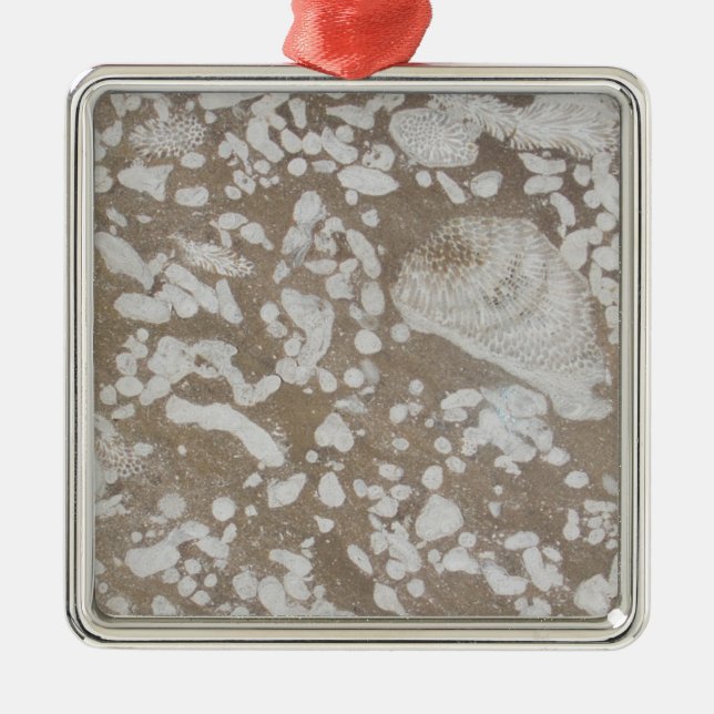 Devonian Fossil Brown & White Christmas Ornament Aus Metall (Vorne)