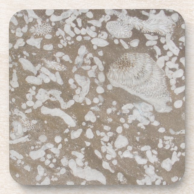 Devonian Fossil Brown & White Drinks Coasters Untersetzer (Vorderseite)