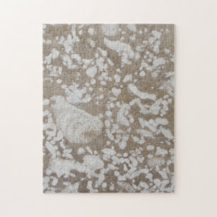 Devonian Fossil Brown & White Puzzle