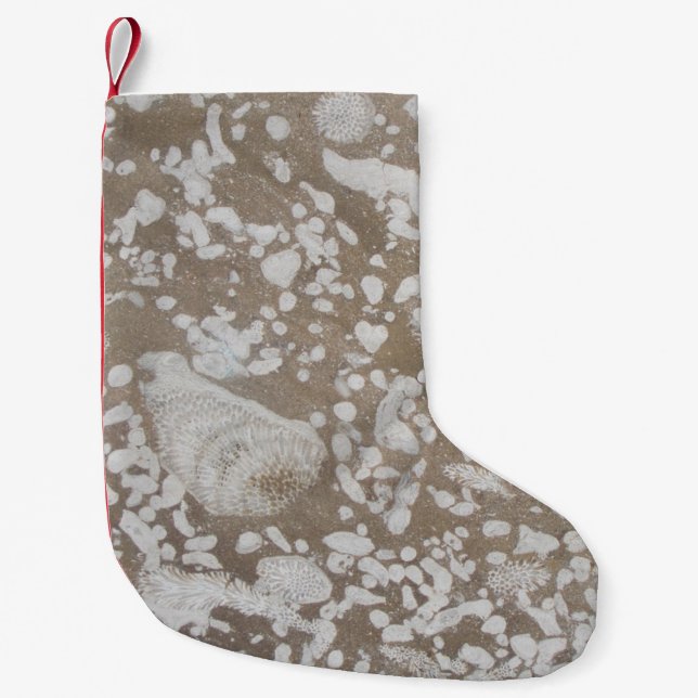 Devonian Fossil Gorge Kleiner Weihnachtsstrumpf (Vorderseite)