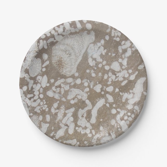 Devonian Fossil Paper Tellers Pappteller (Vorderseite)