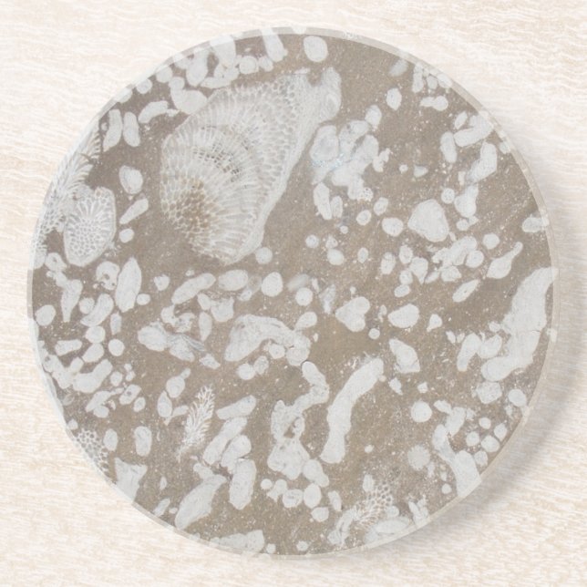 Devonian Fossil Sandstone Drink Untersetzer (Vorne)
