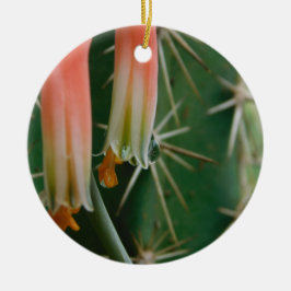 Dew auf Aloe Bloom Keramik Ornament