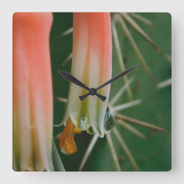 Dew auf Aloe Bloom Quadratische Wanduhr