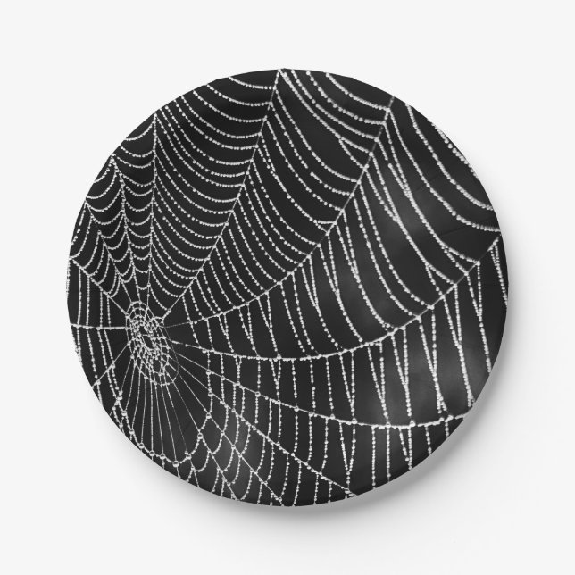 Dew Covered Spiderweb Pappteller (Vorderseite)