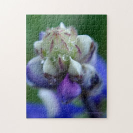 Dew Dappled Lupine Puzzle