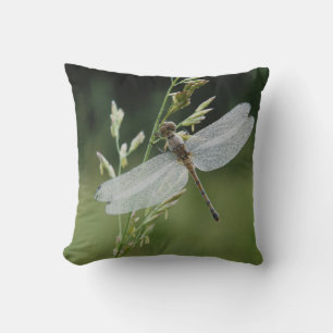 Dew deckte Darner Dragonfly Kissen