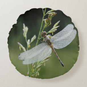 Dew deckte Darner Dragonfly Rundes Kissen
