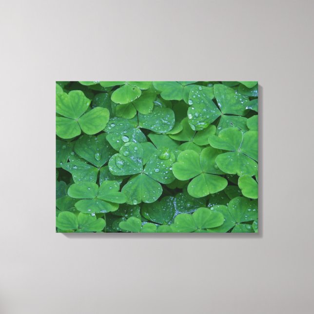 Dew Drenced Clovers Macro Foto Wine cine Art Leinwanddruck (Vorderseite)