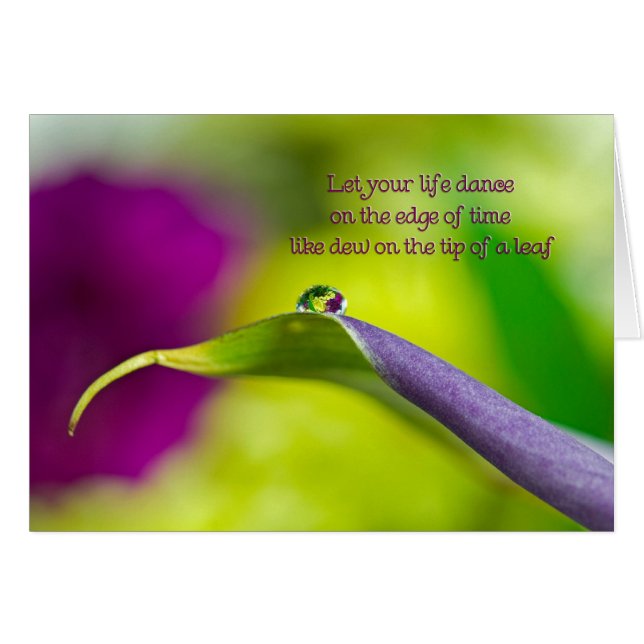 Dew Drop (Vorderseite (Horizontal))