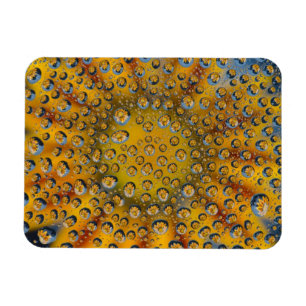 Dew Drop Reflexion der Blume, Crescent City, Magnet