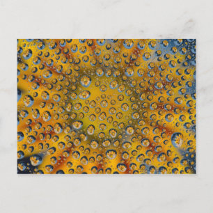 Dew Drop Reflexion der Blume, Crescent City, Postkarte