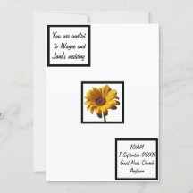 Dew Drops Daisy Wedding