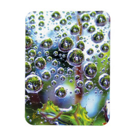 Dew Drops on Spider Web Amazing Nature Magnet