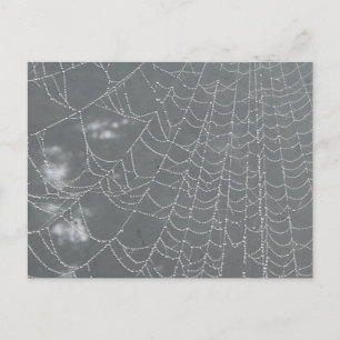 Dew Drops Spider Web DIY Postkarte