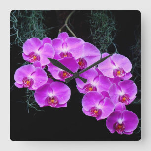 Dew-Kissed Orchids Wall Clock Quadratische Wanduhr