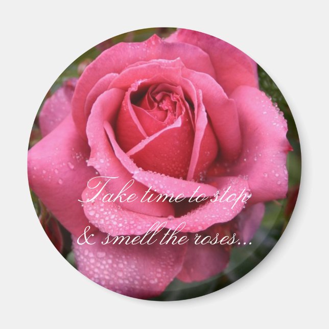 Dew Kissed Pink Rose! Magnet (Vorne)