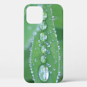 Dewdrop Case-Mate iPhone Hülle