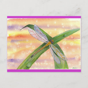 "Dewdrop Dragon" Postkarte