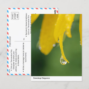 Dewdrop Elegance: Gelbe Blume Petal Nah-up Postkarte