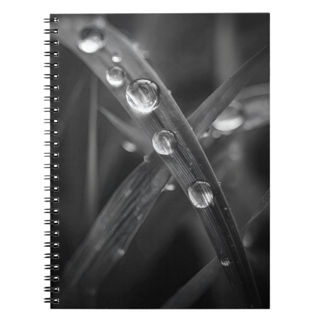 Dewdrop Grass Blade Macro Notebook Notizblock (Vorderseite)