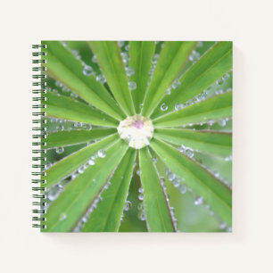 Dewdrop Notizbuch