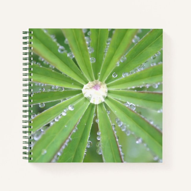 Dewdrop Notizbuch (Vorderseite)