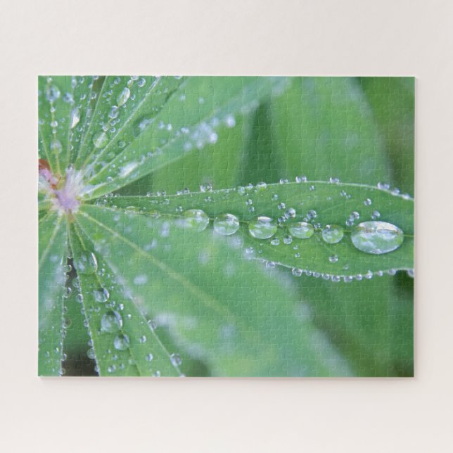 Dewdrop Puzzle (Horizontal)