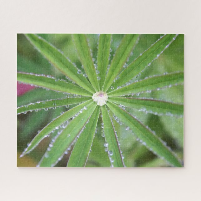 Dewdrop Puzzle (Horizontal)