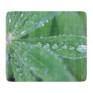 Dewdrop Schneidebrett