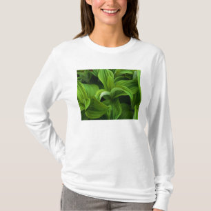 Dewdrops auf einem falschen Helabore T-Shirt