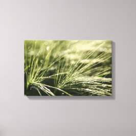 Dewdrops Bokeh Natur Foto Leinwanddruck