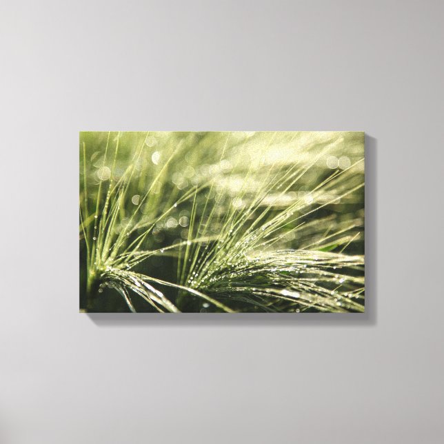 Dewdrops Bokeh Natur Foto Leinwanddruck (Vorderseite)