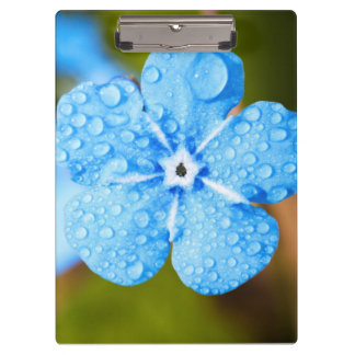 Dewey Blue Blume Klemmbrett
