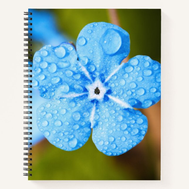 Dewey Blue Blume Spiral Notebook Notizbuch (Vorderseite)