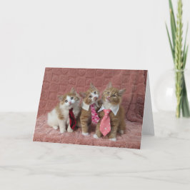 Dewey, Louie und Huey sind alle aufgekleidet Karte