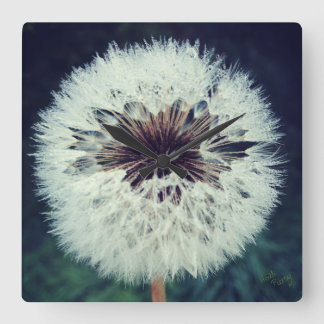 Dewy Dandelion Uhr ...Uhr!