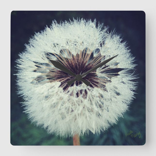 Dewy Dandelion Uhr ...Uhr! (Vorderseite)