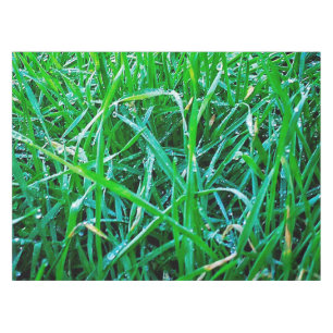 Dewy Gras Tischdecke