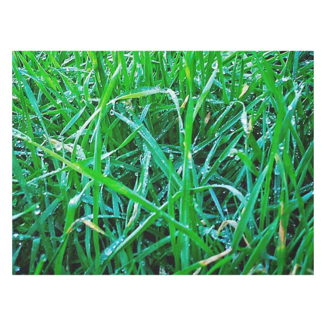 Dewy Gras Tischdecke (Vorderseite (Horizontal))