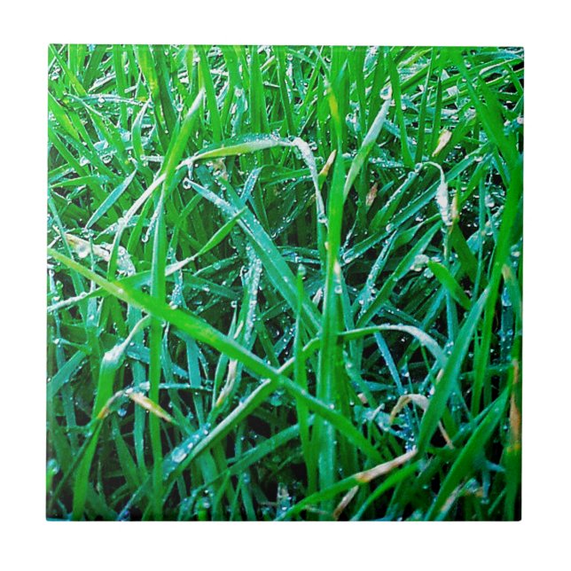 Dewy Grass Fliese (Vorderseite)
