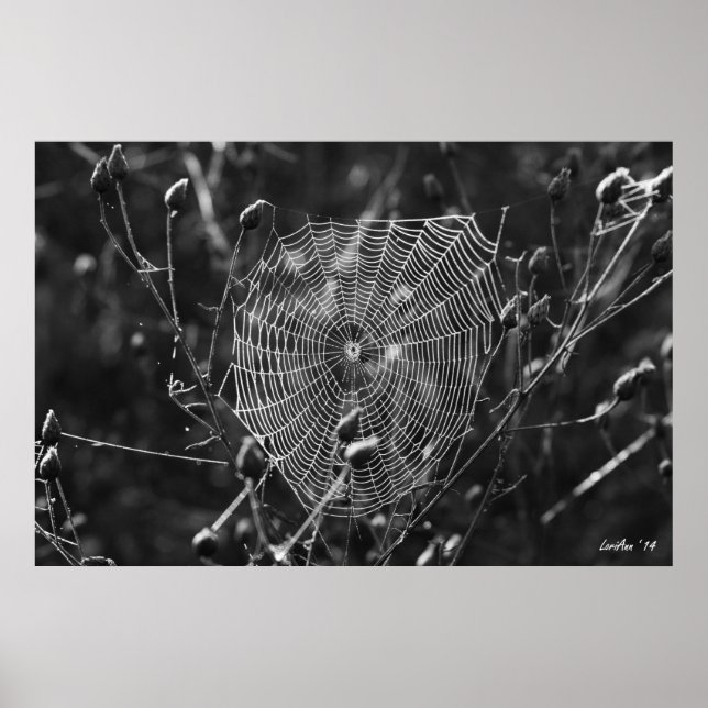 Dewy Morning Web Poster (Vorne)