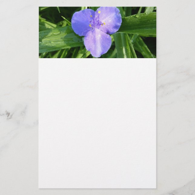 Dewy Trillium Spring Wildblume Briefpapier (Vorderseite)