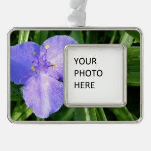 Dewy Trillium Spring Wildblume Rahmen-Ornament Silber