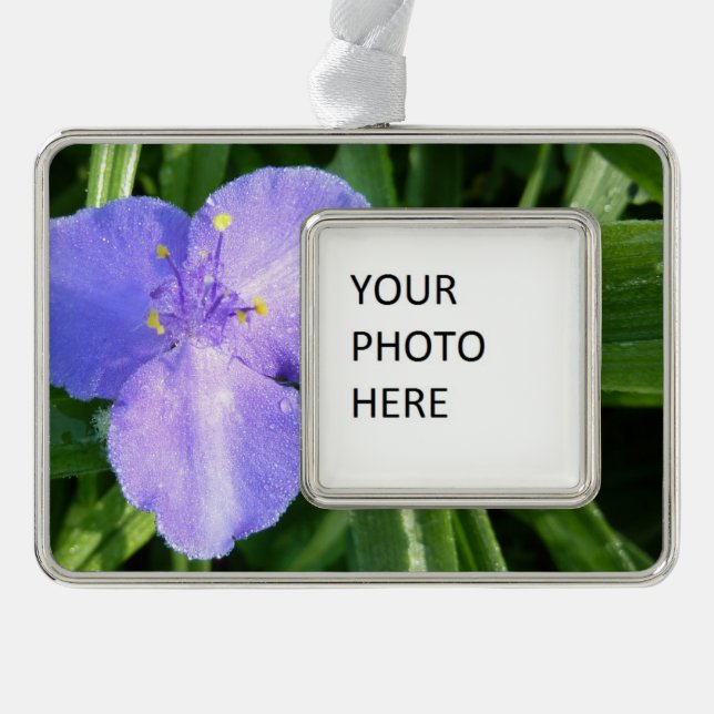 Dewy Trillium Spring Wildblume Rahmen-Ornament Silber (Vorderseite)