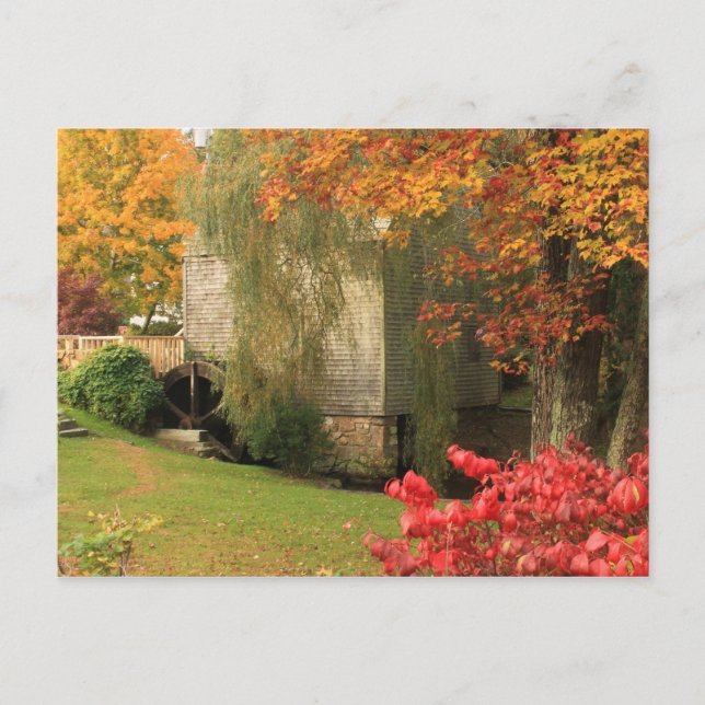 Dexter Grist Mill Sandwich Cape Cod Postkarte (Vorderseite)