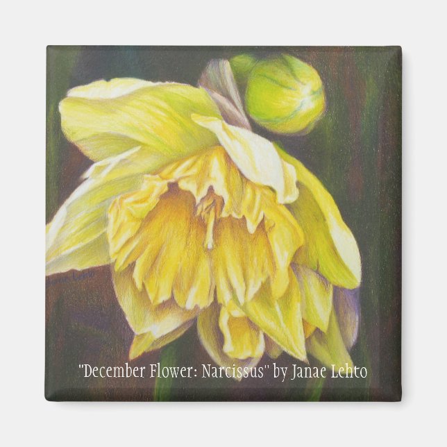 "Dezember Blume: Narcissus" von Janae Lehto Magnet (Vorne)