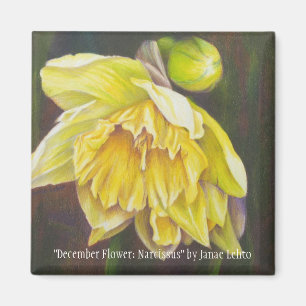 "Dezember-Blume: Narzisse" durch Janae Lehto Magnet